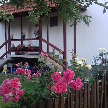Apartment Dil Kulen Vakuf Exterior foto